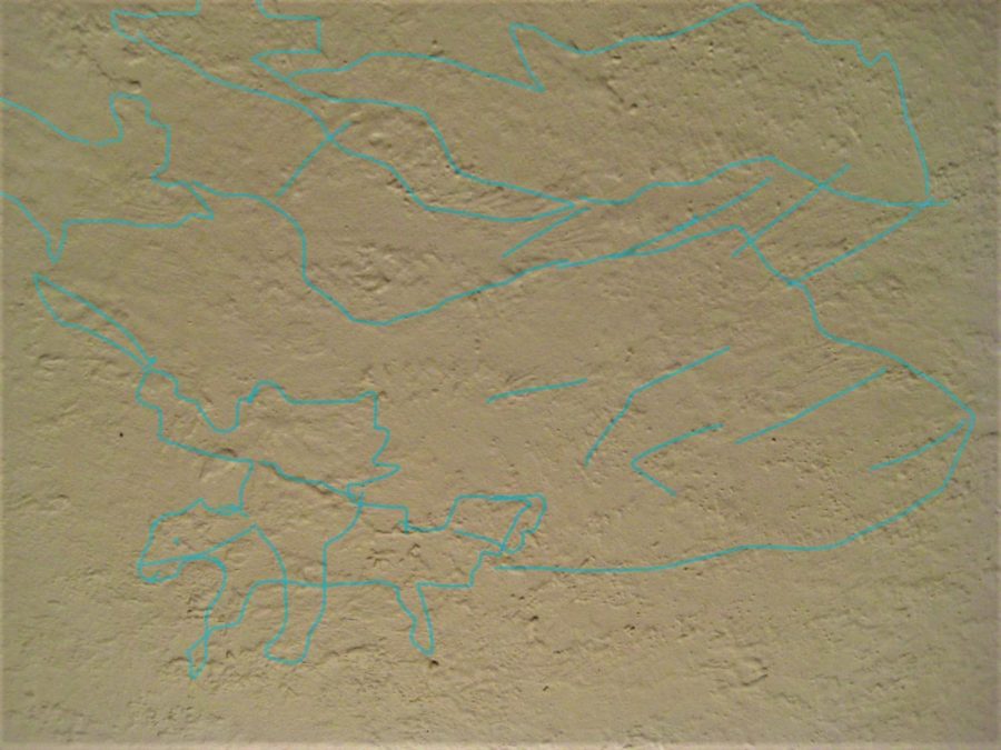 I+found+several+images+in+this+patch+of+wall%28highlighted+blue%29.