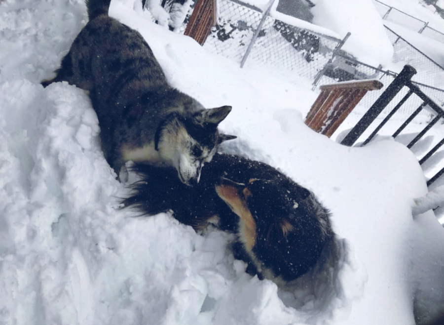 Snow piles up