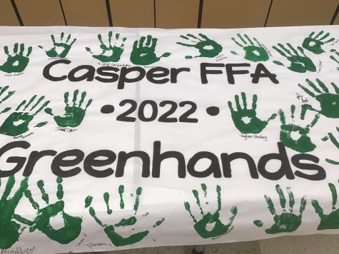 green hand prints on poster