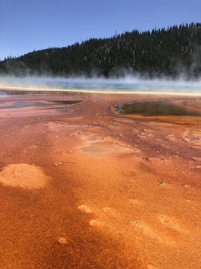 an+outdoor+shot+of+yellowstone
