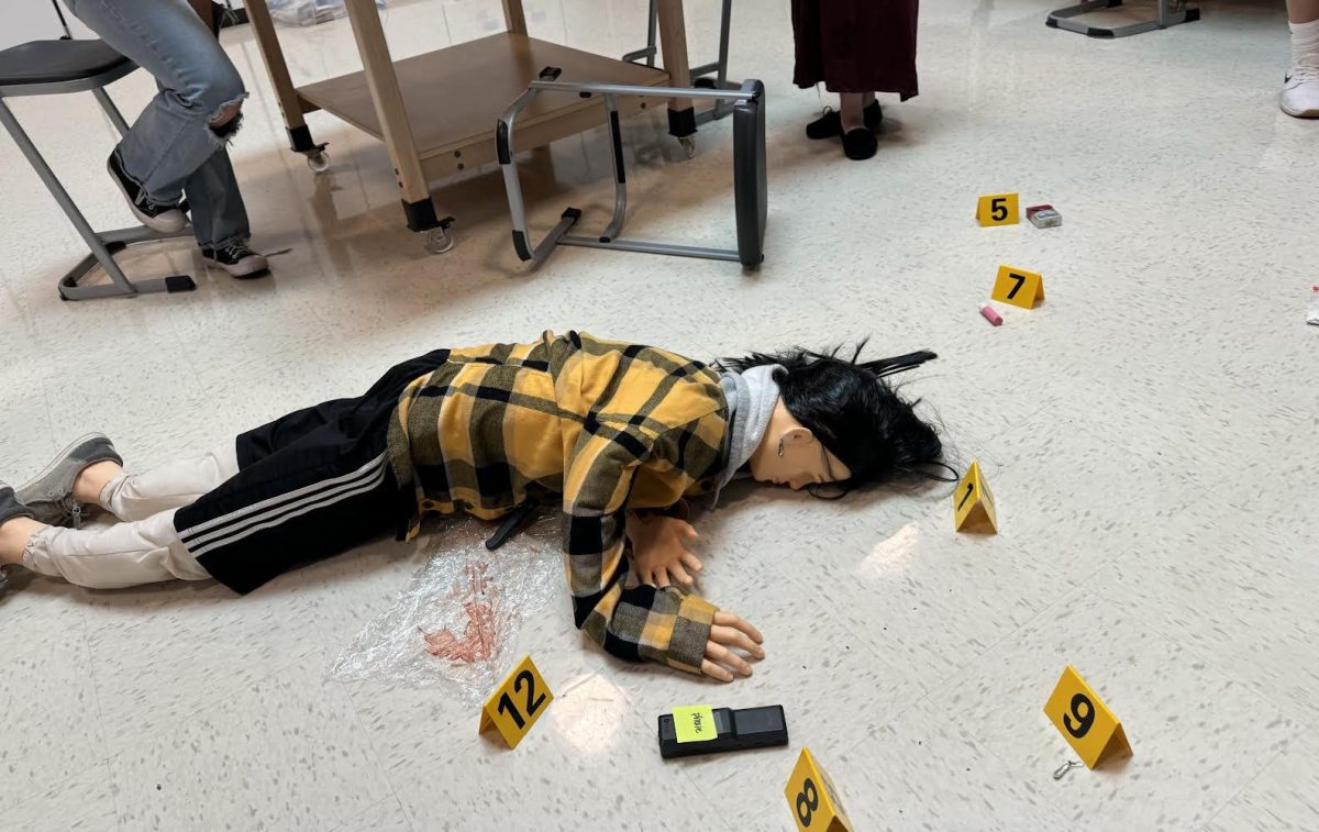 A dummy lays on the floor in Ms. Colling's classroom, surrounded by evidence markers, in order to simulate a crime scene with a dead body. In this class, juniors and seniors practice the art of criminal justice and mystery solving. “The best way is like true crime, that’s the easiest way to explain it. It’s a lot of science based, like biology. It’s a mix of all science,” said Avalon Born.
